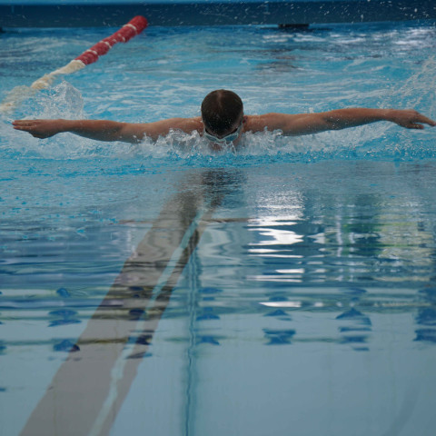 2023 northcote college swimming sports 