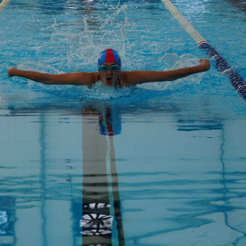 2023 northcote college swimming sports 