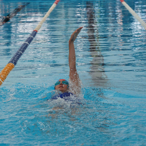 2023 northcote college swimming sports 