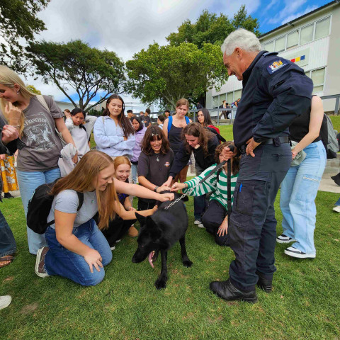 2024 T1 wk 06 police dog visit