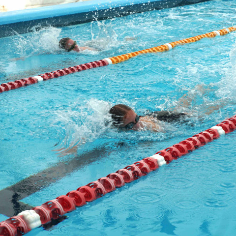 2024 T1 wk 06 swimming sports 