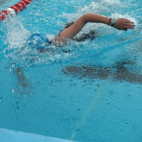 2024 T1 wk 06 swimming sports 