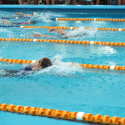 2024 T1 wk 06 swimming sports 