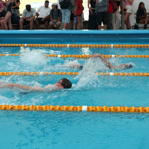 2024 T1 wk 06 swimming sports 