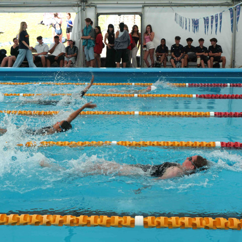 2024 T1 wk 06 swimming sports 