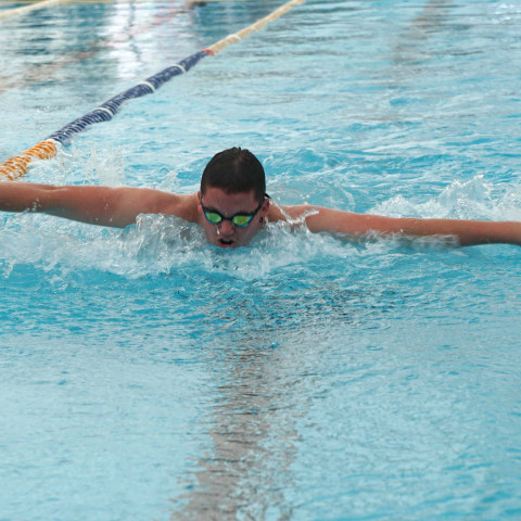 2024 T1 wk 06 swimming sports 