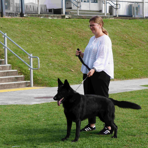 2024 T1 wk 06 police dog visit