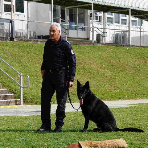 2024 T1 wk 06 police dog visit