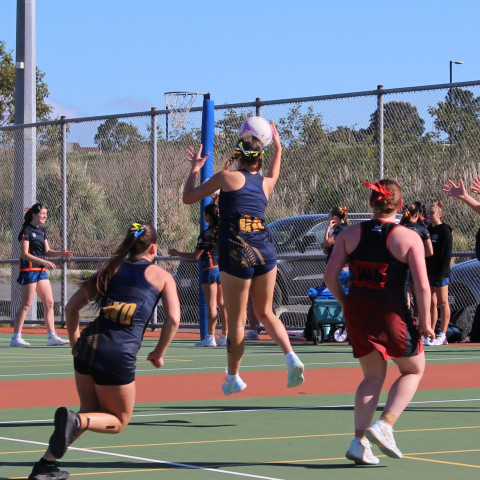 Netball Premier 1 