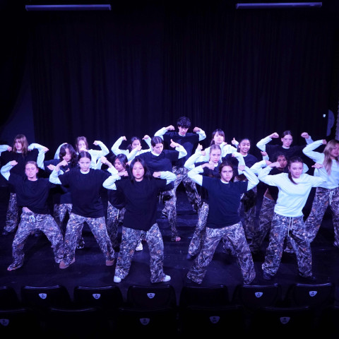 NC 2025 dance showcase