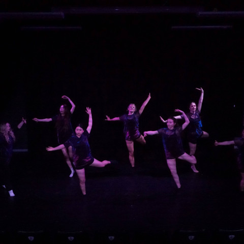 NC 2025 dance showcase