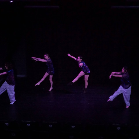 NC 2025 dance showcase