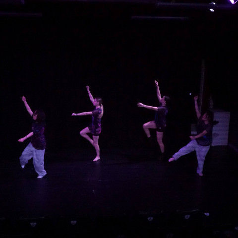 NC 2025 dance showcase