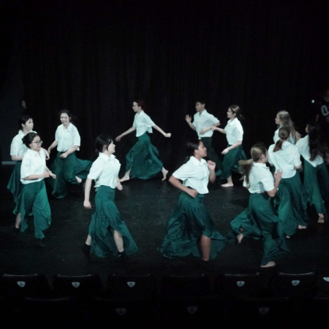 NC 2025 dance showcase