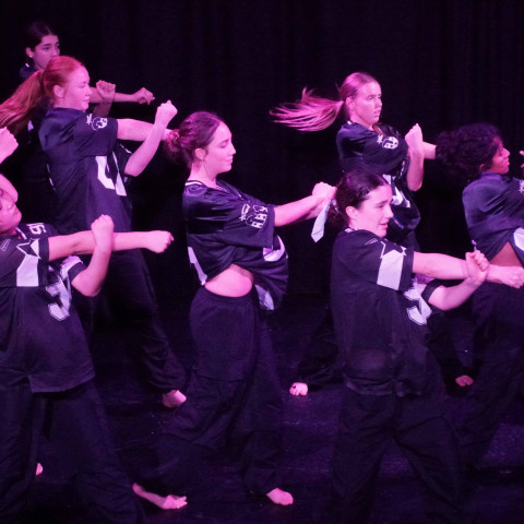 NC 2025 dance showcase