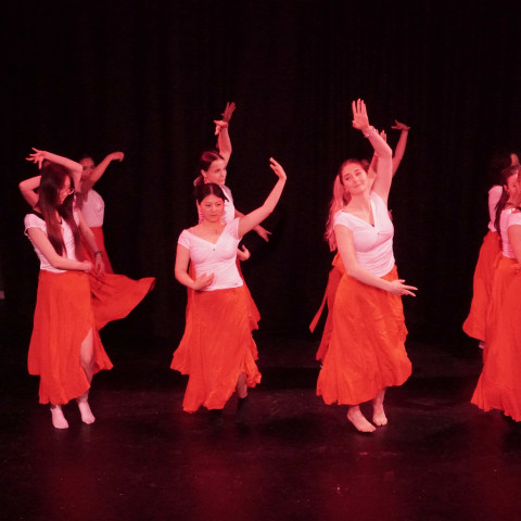 NC 2025 dance showcase