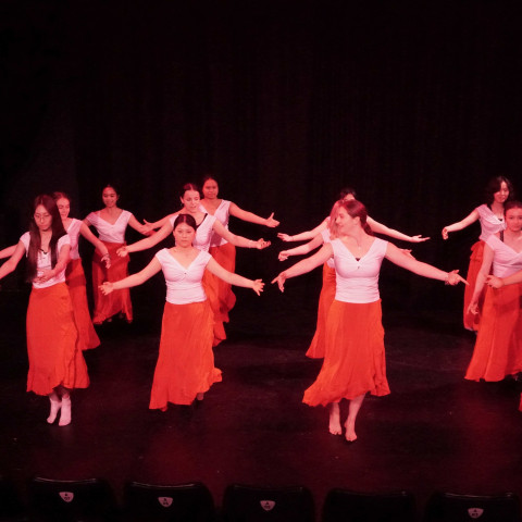 NC 2025 dance showcase