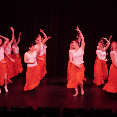 NC 2025 dance showcase
