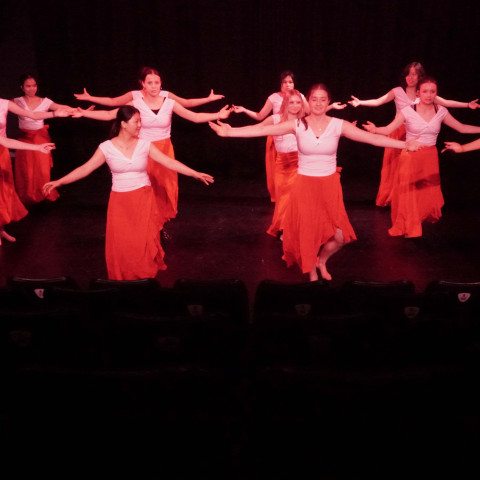 NC 2025 dance showcase