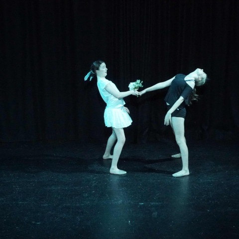 NC 2025 dance showcase