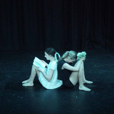 NC 2025 dance showcase