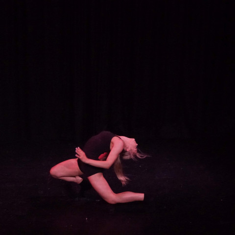 NC 2025 dance showcase