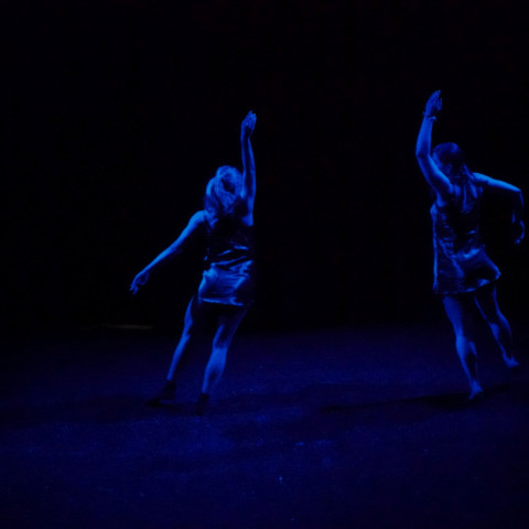 NC 2025 dance showcase