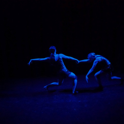 NC 2025 dance showcase