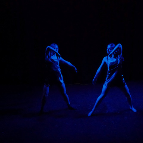 NC 2025 dance showcase
