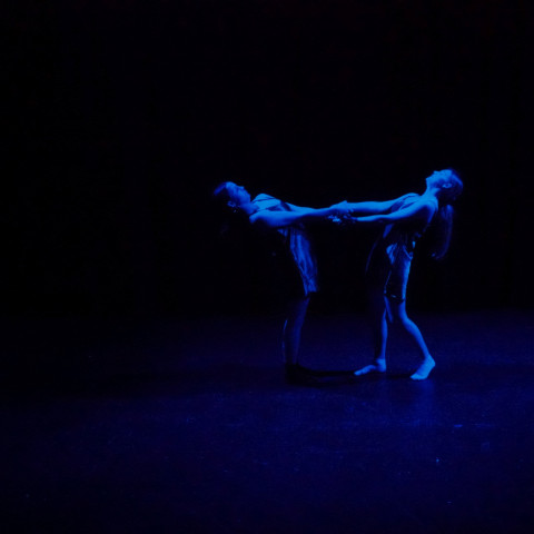 NC 2025 dance showcase