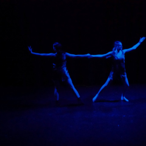 NC 2025 dance showcase