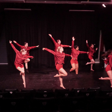NC 2025 dance showcase