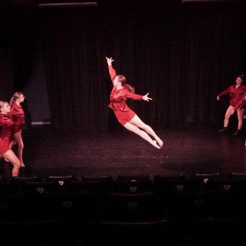 NC 2025 dance showcase