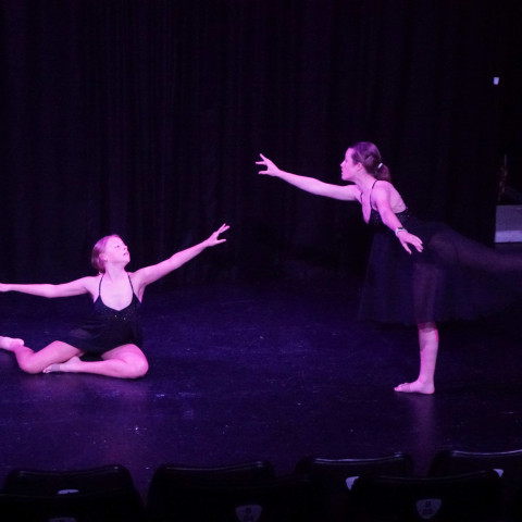NC 2025 dance showcase