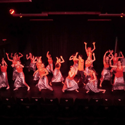 NC 2025 dance showcase