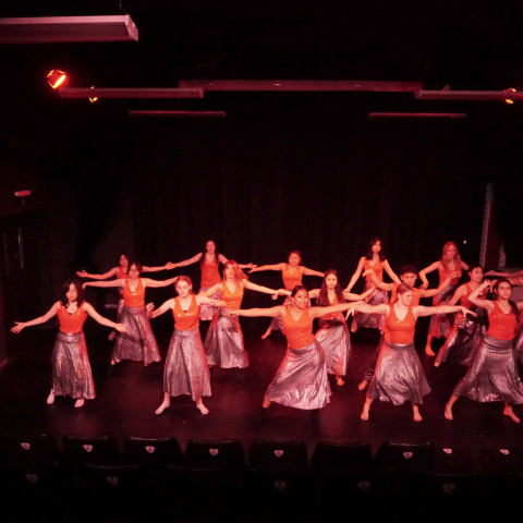 NC 2025 dance showcase