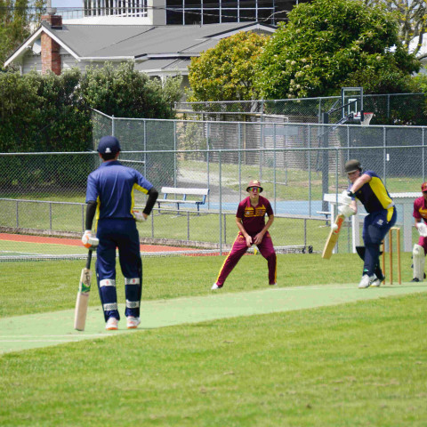 Northcote 1st XI Cricket v Liston College