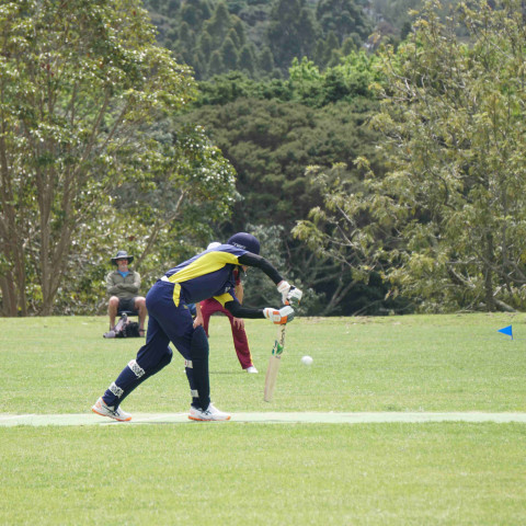 Northcote 1st XI Cricket v Liston College