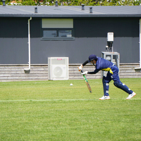 Northcote 1st XI Cricket v Liston College