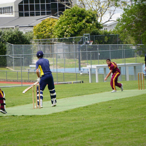 Northcote 1st XI Cricket v Liston College