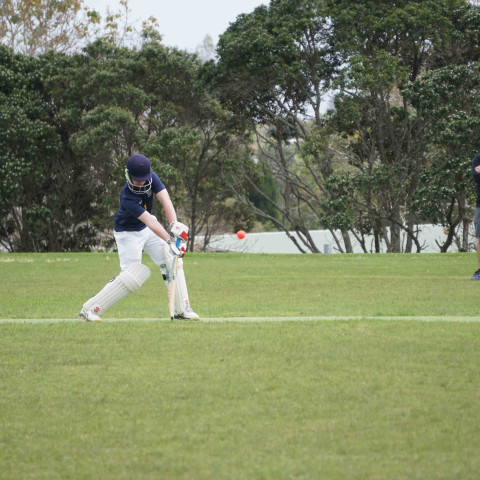 Northcote Junior Open Boys Cricket v Takapuna Gramma Junior A 