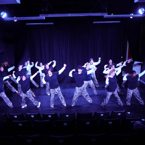 NC 2025 dance showcase