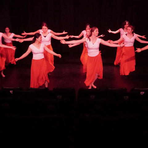 NC 2025 dance showcase