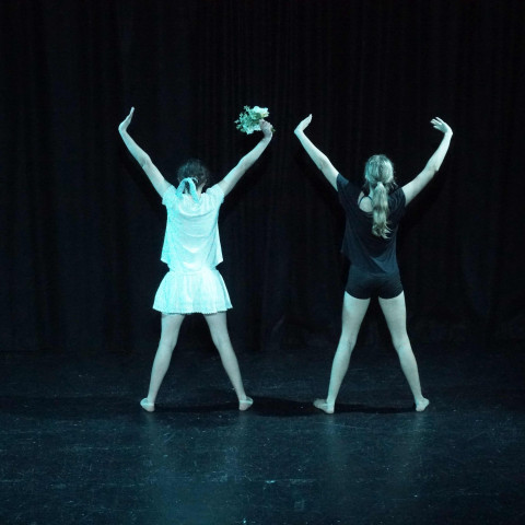 NC 2025 dance showcase