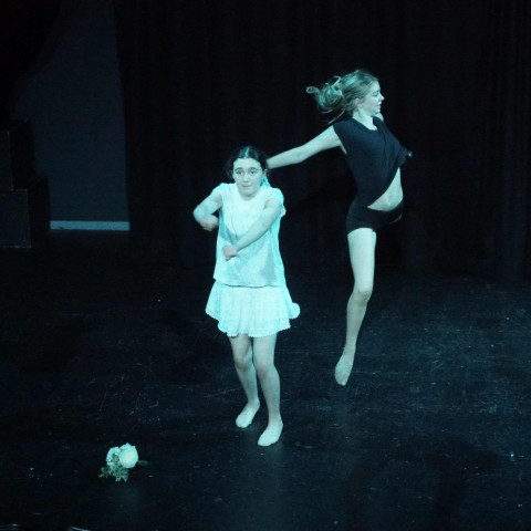 NC 2025 dance showcase