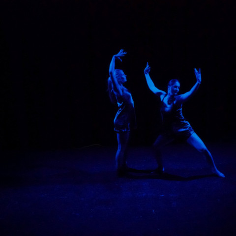 NC 2025 dance showcase