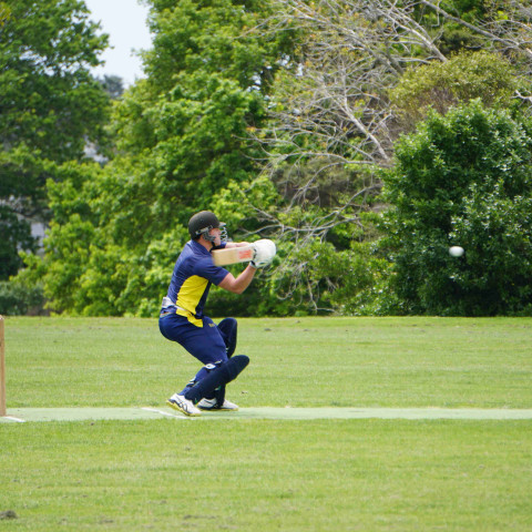 Northcote 1st XI Cricket v Liston College