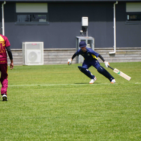 Northcote 1st XI Cricket v Liston College
