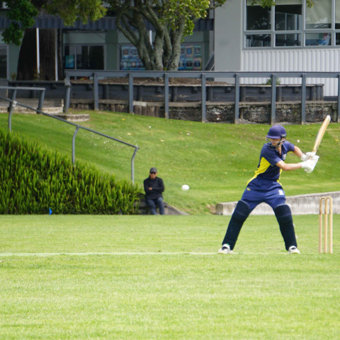 Northcote 1st XI Cricket v Liston College