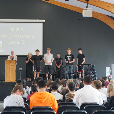 2025 NCEA L1 & 2 merit and excellence 